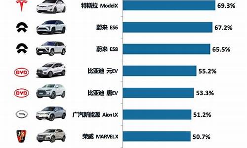 新能源汽车品牌排行榜前十名_中国新能源汽